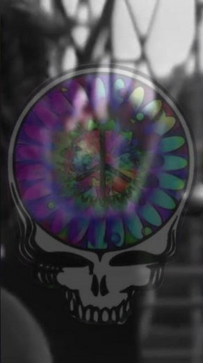 Epic Live Performance: The Grateful Dead's Sugaree - August 4, 1976 #jerrygarcia #jgb #shorts