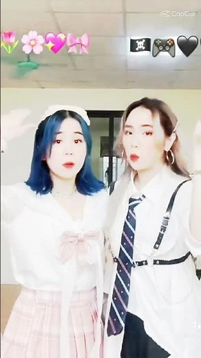 tik tok sammy đào và mèo simmy