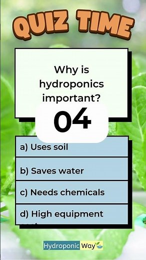 Importance of Hydroponics