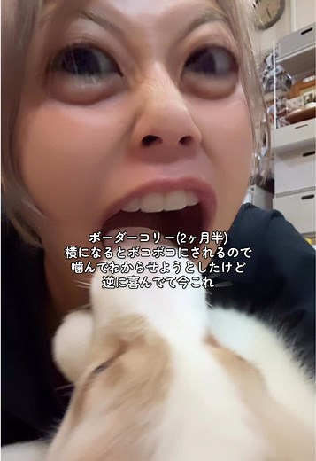 噛まれたら噛み返すって教育方法で合ってる？