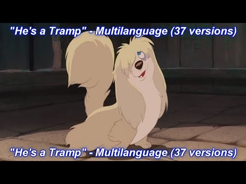 Lady and the Tramp - He's a Tramp Multilanguage (37 versions).