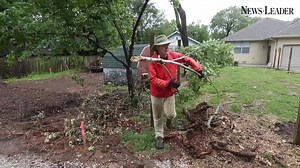 3.5K views · 12 reactions | It's that time of year... | Springfield News-Leader | Facebook