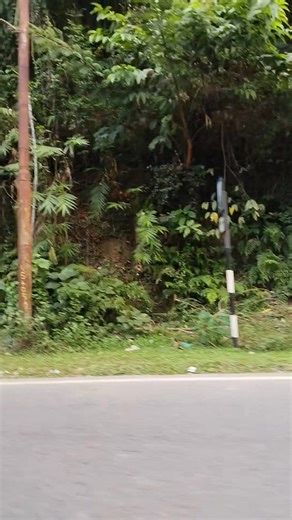 Rangamati road Part 3 | Ruksana Parvin