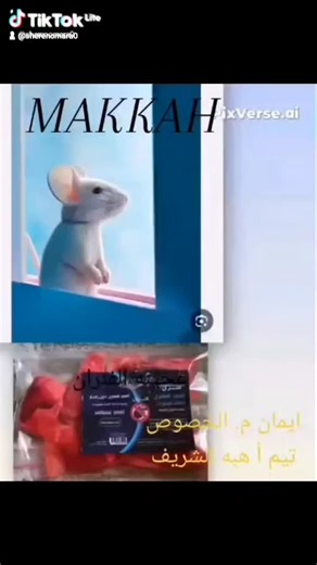 ‎ام لمار عماره‎ on Instagram‎: "🐀 عجينة الفئران الإيطالية 🐀 الحل السحرى والنهائى للقضاء على الفئران جربتى سم الفئرران 🐀 وبرده عندك فئران جربتي المصيدة 🤦‍♀️ومافيش فايده جبتلك السر لعندك اللى هيقضى ع الفئران تماما👌👌👌 الفار بيموت بعد يوم أو اتنين ،، وبيموت برة البيت💁‍♀️💪💪 لإنها بتسبب له إختناق فبيخرج يدور على أكسجين ويموت برة 😉😃😃 وكمان لو في اكتر من فأر هيموتوا كلهم 😍 العجينة بتتوزع بالكيس بتاعها و ممنوع نمسك العجينة بإيدينا نلبس كيس أثناء التوزيع ،، الفار لو شم ريحة إن في بني آدم مسك
