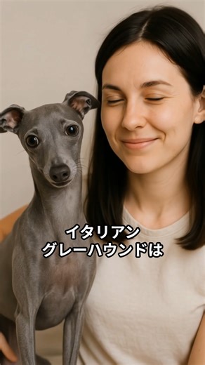 モフ知り隊！ on Instagram: "イタリアングレーハウンドの可愛すぎる習慣５選 #イタリアングレーハウンド #犬 #動物動画 #dog #犬のいる暮らし🐶🐾 #イタグレ VOICEVOX:春日部つむぎ"