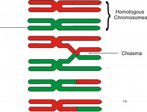 前期1和2之间的区别 - 新闻 2025