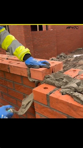 #bagged crment 🤔#facts #fact #mr.fact470