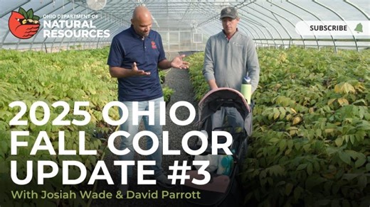 2025 Fall Color Update 3 | Ohio Department of Natural Resources