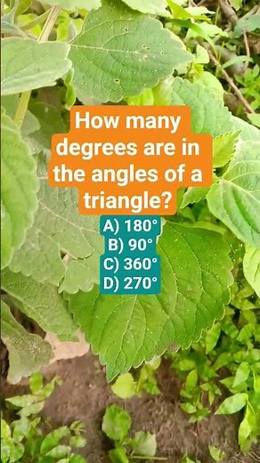 How many degrees are in the angles of a triangle?