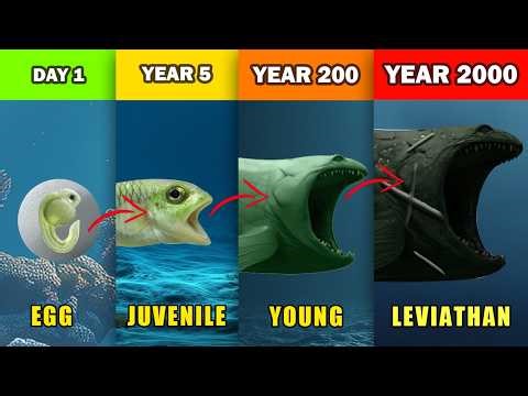 Each Bloop Life's Growth Phases Explained