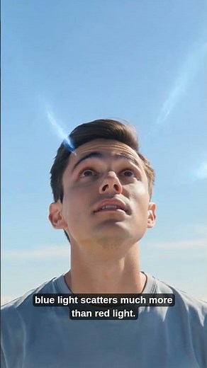 Why Is The Sky Blue? ☀️🌍