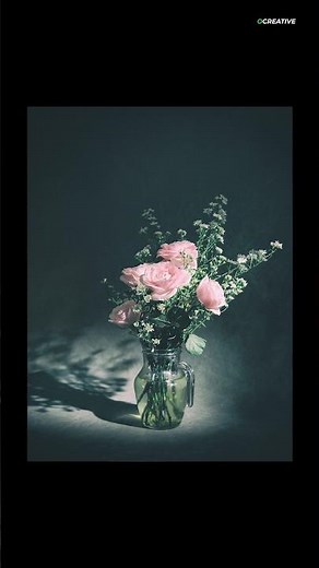 foto bunga ros estetik | still life photography | xh2 image