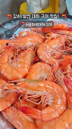 🦐 탱탱한 제철 대하 소금구이 !! 🦐딱 지금이 아니면 1년 기다려야하는..! 가을이 다가 오는 지금 선선한 9월에야장에서 즐기는 제철 대하 만큼맛있는 음식이 있을까요!?