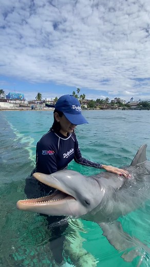 dolphindiscovery on TikTok