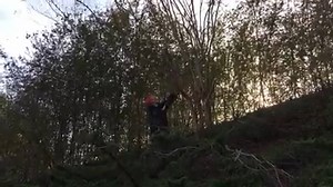 2.7K views · 5 comments | Stephanie Walker WVTM 13 on Reels | Facebook