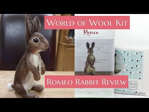 Needle Felted Rabbit From "World Of Wool" Romeo Rabbit Kit | Can I make it look like the picture?