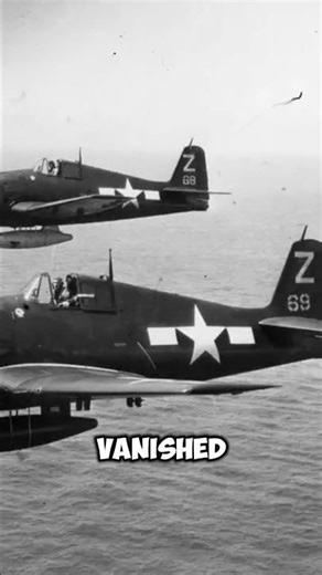 In 30 Seconds, Japan’s Best Pilot Was Gone #shorts #ww2 #wwii