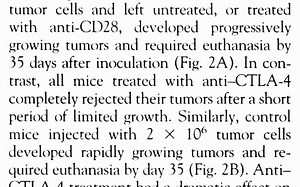 2.Enhancement of antitumor immunity by CTLA-4 blockade.（2）