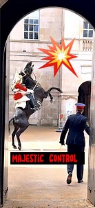956K views · 10K reactions | UNBELIEVABLE HORSEMANSHIP!  KING'S GUARD MASTERFULLY CONTROLS A FREAKED-OUT HORSE! ** #HORSEMANSHIP #FB #LONDONREELSFEED #KINGSGUARD #VIRALVIDEO #UNSTOPPABLE #ADVENTURE #AMAZINGCONTROL #REELSOFINSTAGRAM #VIRALREEL #FYP | The Royals King's Guard's England | Facebook