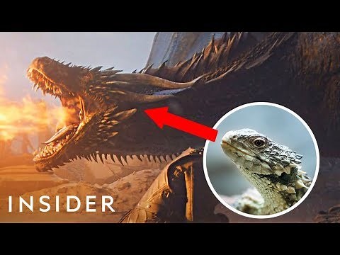 How The 'Game Of Thrones' Dragons Were Designed | Movies Insider