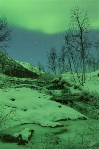 33K views · 3.3K reactions | Insane explosion of aurora in Malangen, Norway 朗 | Night Lights Films | Facebook