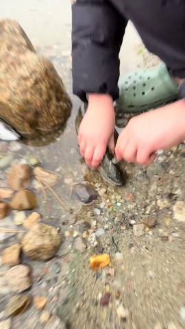 Why am I him at catching musky 🤚🧑‍🍳🖐️ #viral #67 #fishing #troutfishing #fyp