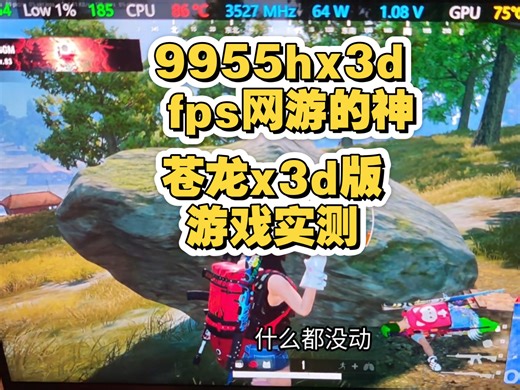 苍龙x3d游戏测试，9955hx3d网游确实猛，lol，黑猴，吃鸡，三角洲，csgo，天际线2