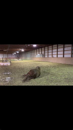 This Little Boy!! Floyd’s first naked roll in a long time. Followed by gazing upon his most handsome meatball self and hanging poolside. | Kara M Manning