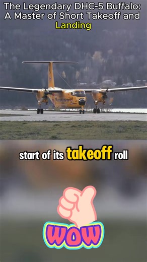 91K views · 2.5K reactions | The Legendary DHC-5 Buffalo A Master of Short Takeoff and Landing #Aviation #DHC5Buffalo #ShortTakeoff #STOL #Aircraft #RoyalCanadianAirForce #MilitaryAviation | Giant Bird | Facebook