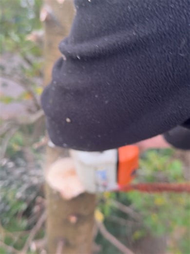 EJ Tree Surgery on Reels