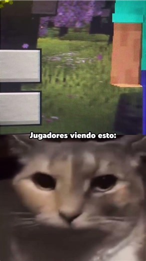 Es real? 💀 #minecraft