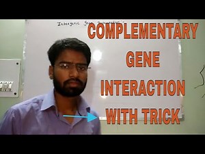 COMPLEMENTARY GENE INTERACTION