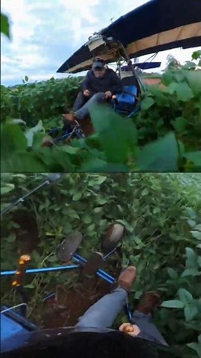 I CRASHED MY ULTRALIGHT 😱 #aviation #ultralight #aircraft
