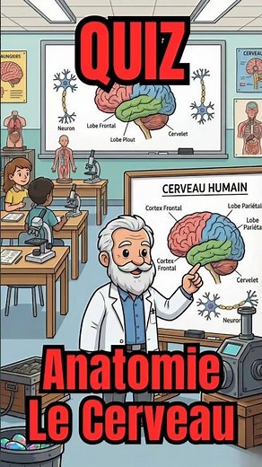 🧠Anatomy Quiz 1: The Human Brain, the INCREDIBLE secrets!