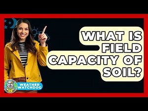 What Is Field Capacity Of Soil? - Weather Watchdog