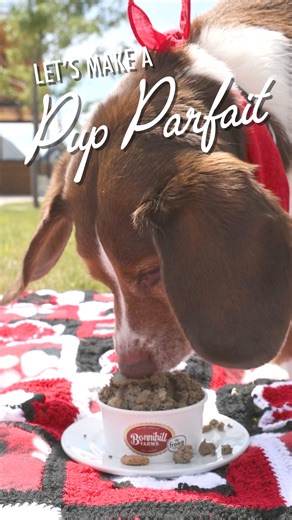 Summer Pup Parfait! 🐾 Treat your pup to the perfect summer meal with fresh-frozen Bonnihill Farms by Fromm! Simply thaw & serve for a delicious, sous vide recipe made in small batches at our family-owned facility in Wisconsin. 🌞🍲 | Fromm Family Foods