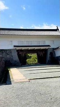 【小田原城】神奈川観光で外せない場所 🏯①#shorts