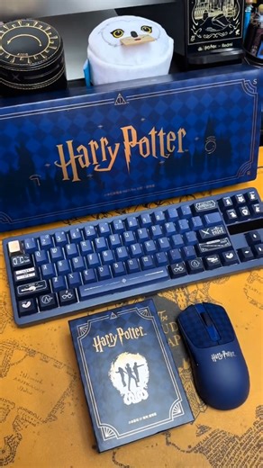 Harry Potter Keyboard and Mouse Unboxing