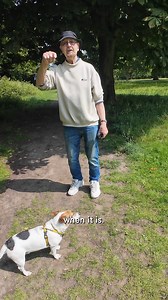 “I was a bit disappointed when the rescue first brought him to me but he’s blown me away” 🥺 | My Best Friend