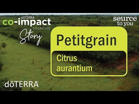doTERRA Source to You Story: Petitgrain Essential Oil