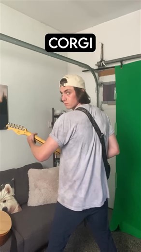 How Dog Breeds Play Instruments P3 | Phalla Ath