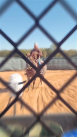 Spinning, Loping, and Roping! Just another day of Clay making better horses! #cwelitecowhorses #roping #ranchversatility #cowhorse #trainingchampions #aqha #thebestlife #GloryToGod | CW Elite Cow Horses