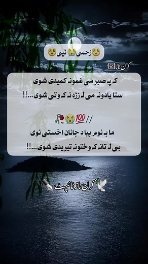 #pashtopoetry✍️ #tiktokforyourpage #❤️‍🔥💔 #pashtopoetry #fybbbbbbbbbbbbbb #illuo #plzzunfreezemyaccoun😭🙏😥fyp #plzzz_saport_me🥰😘