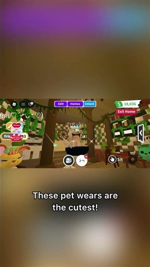 I’m so sorry for the graphics!