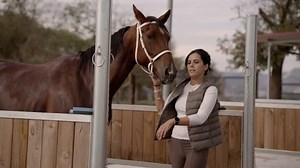 Female Horse Keeper Putting Animal Stall Stock Footage Video (100% Royalty-free) 1098848561 | Shutterstock