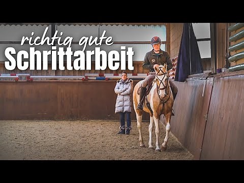 Die Beweglichkeit des Pferdes im Schritt verbessern | Dressurtraining Working Equitation🤩