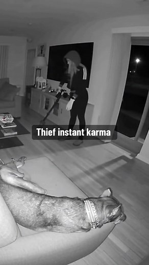Thief Gets Instant Karma at the Wrong House