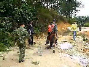 pony ride again