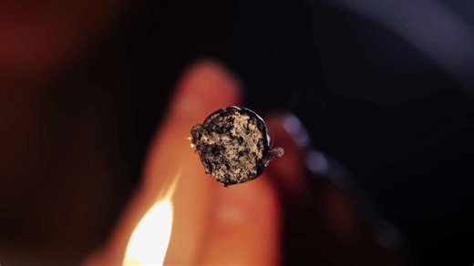 Michigan vet says many pet owners don't realize furry friends can get intoxicated by cannabis