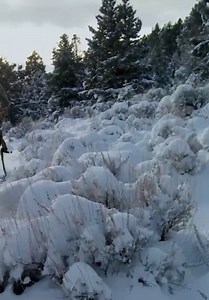 MeatEater S04:E04 - Local Motion: Montana Bull Elk